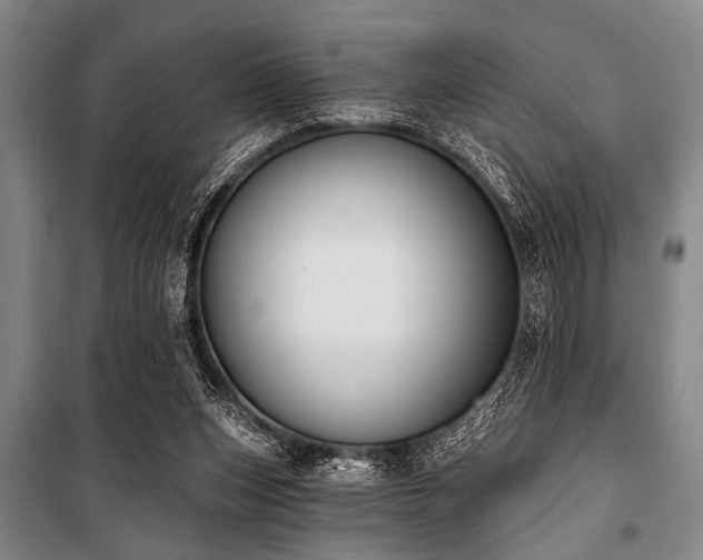X0000101200159200806271359