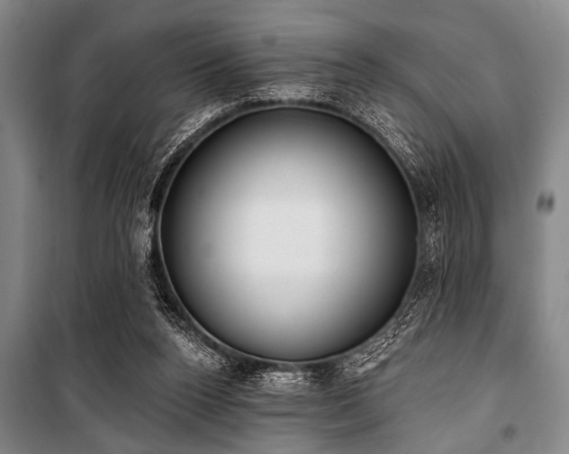 X0000101200160200806271359
