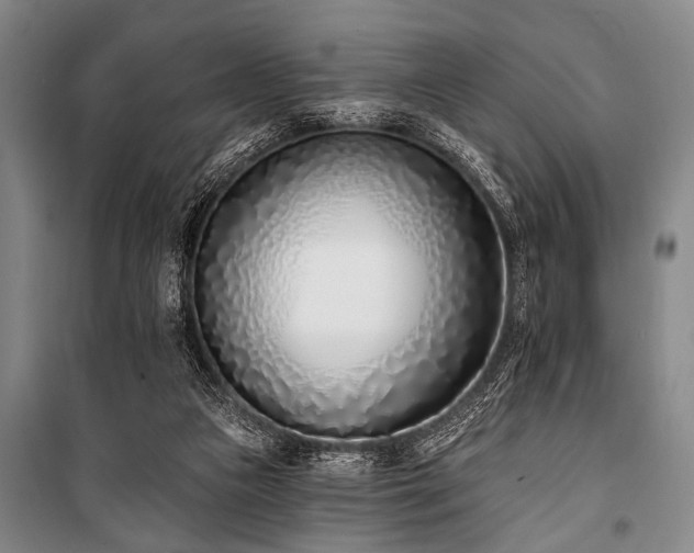 X0000101200161200806271359