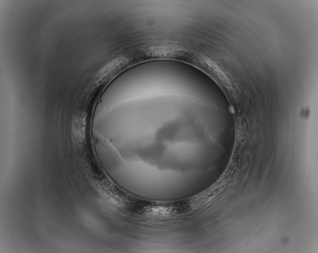 X0000101200163200806271359