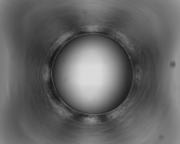 X0000101200164200806271359