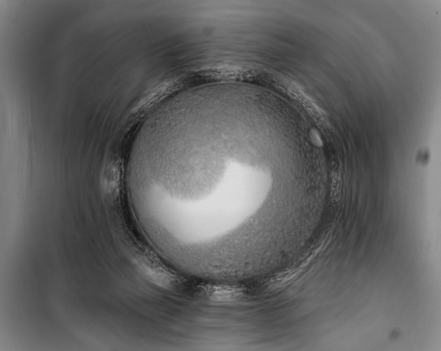 X0000101200165200806271359