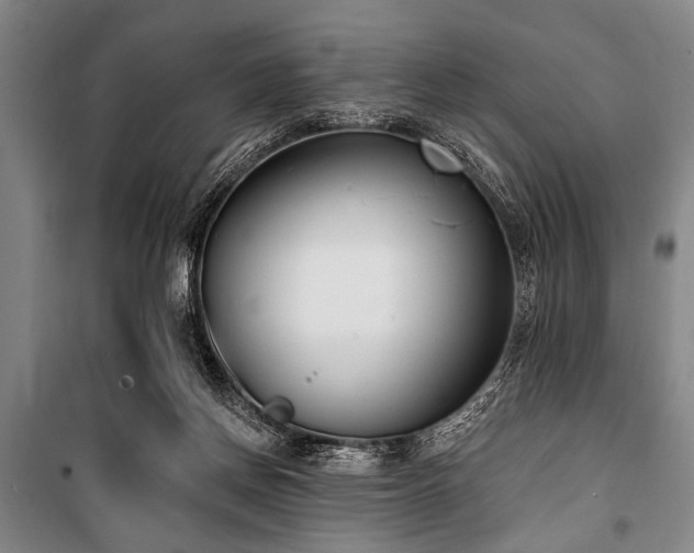 X0000101200166200806271359
