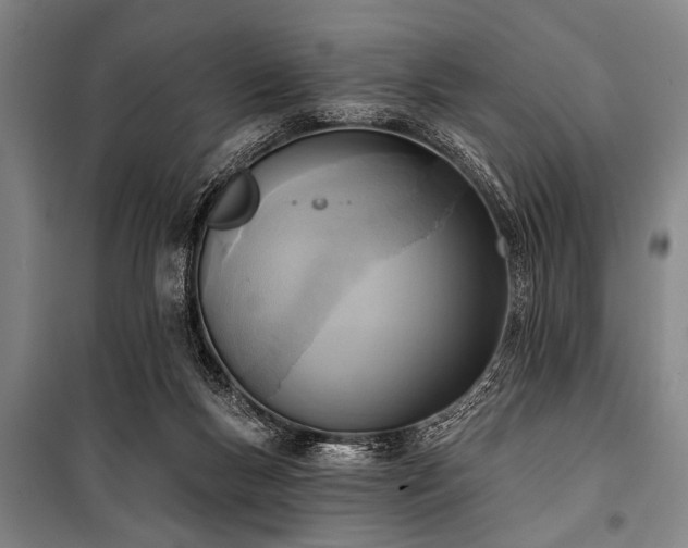 X0000101200167200806271359