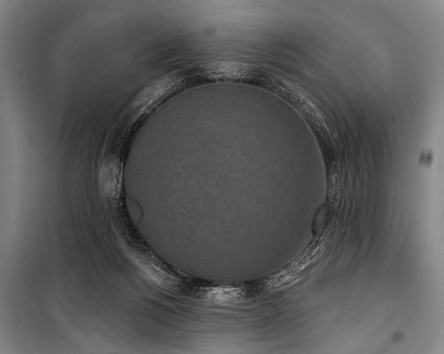 X0000101200168200806271359