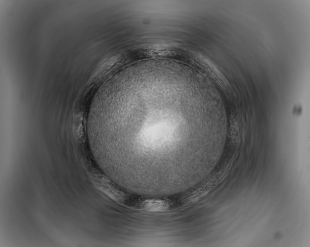 X0000101200169200806271359