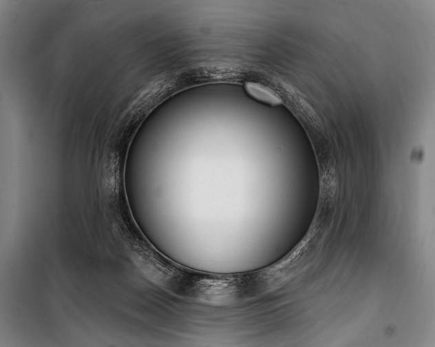 X0000101200170200806271359