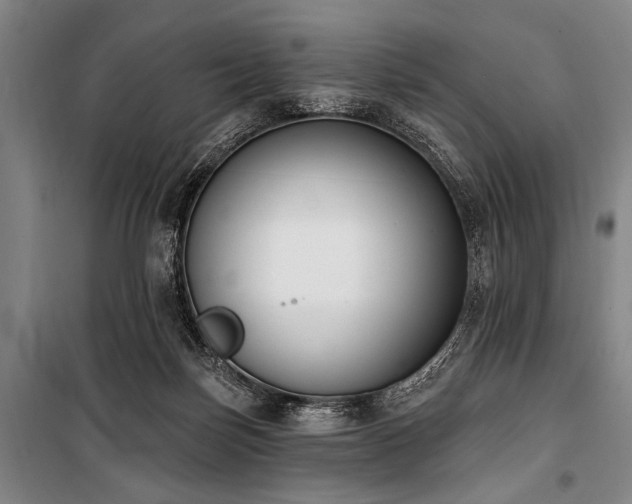 X0000101200171200806271359