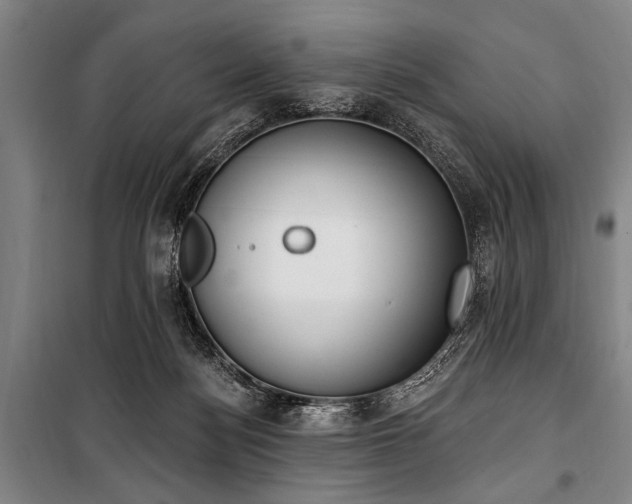 X0000101200172200806271359