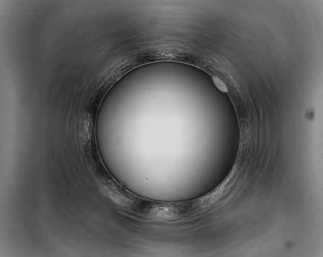 X0000101200174200806271359