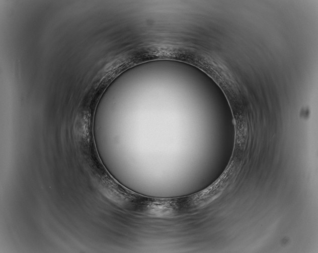 X0000101200175200806271359