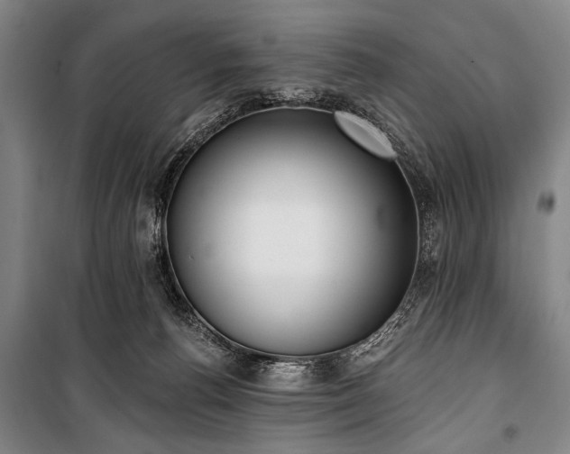 X0000101200176200806271359
