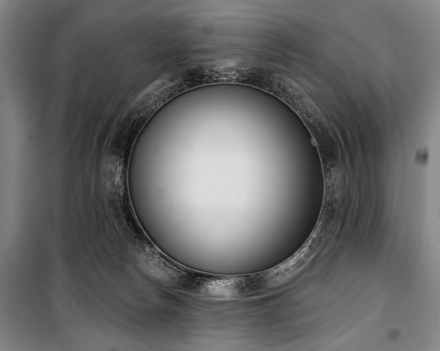 X0000101200178200806271359