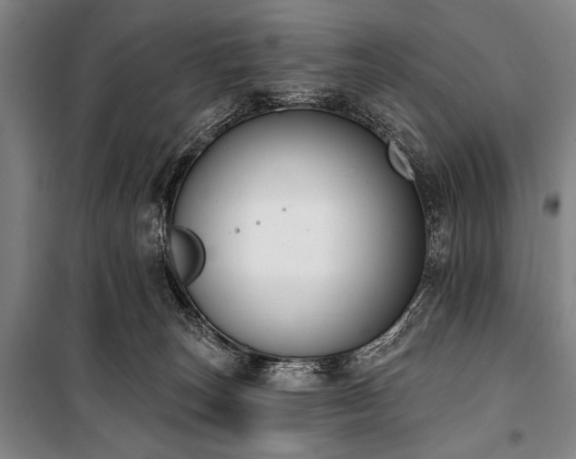X0000101200179200806271359