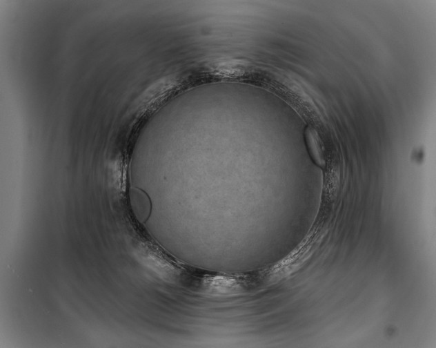 X0000101200180200806271359