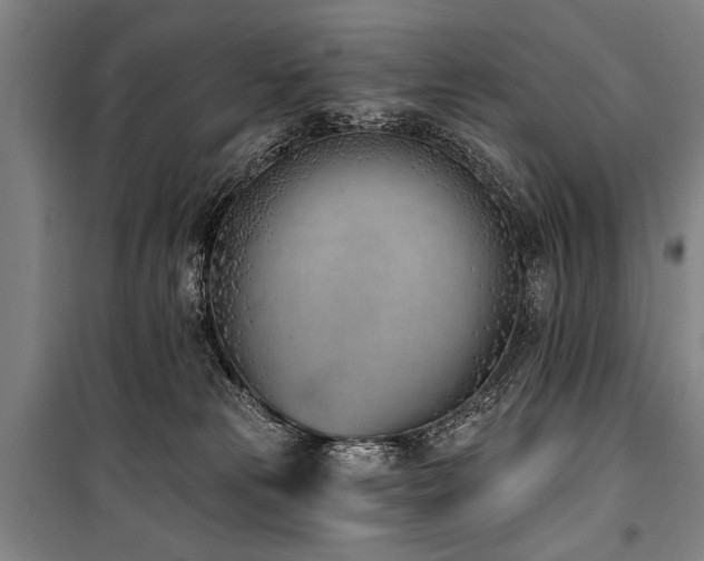 X0000101200181200806271359