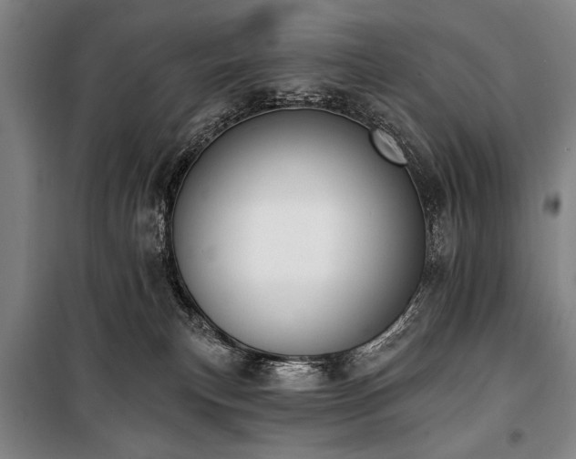 X0000101200183200806271359