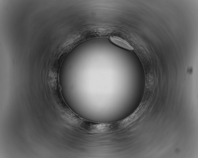 X0000101200184200806271359