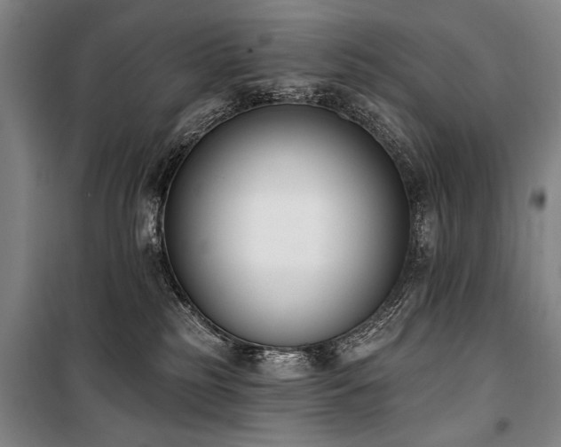 X0000101200185200806271359