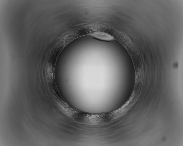 X0000101200186200806271359