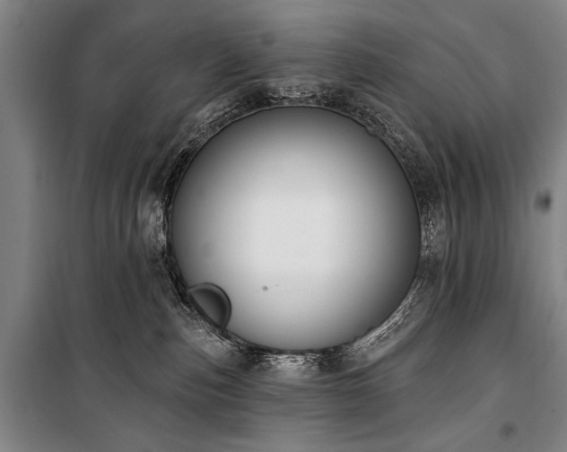 X0000101200187200806271359