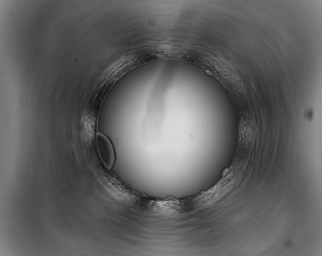 X0000101200188200806271359