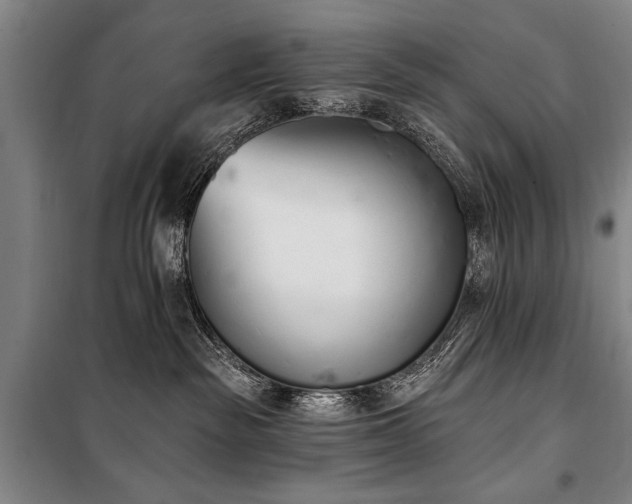 X0000101200189200806271359