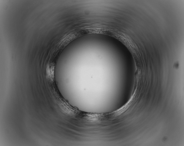 X0000101200190200806271359