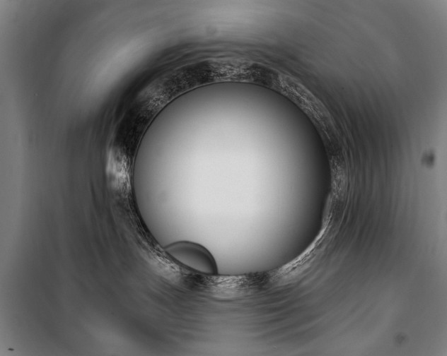X0000101200191200806271359