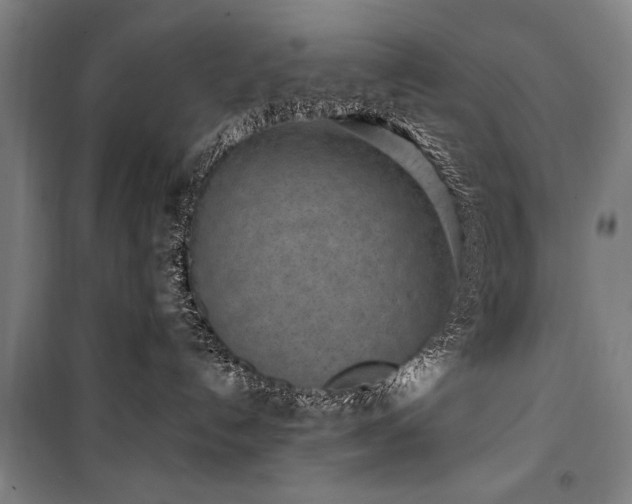 X0000101200192200806271359