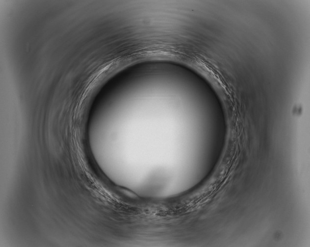 X0000101200193200806271359