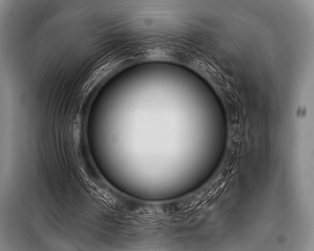 X0000101200194200806271359