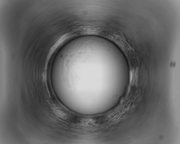 X0000101200195200806271359
