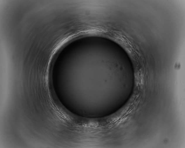 X0000101200196200806271359
