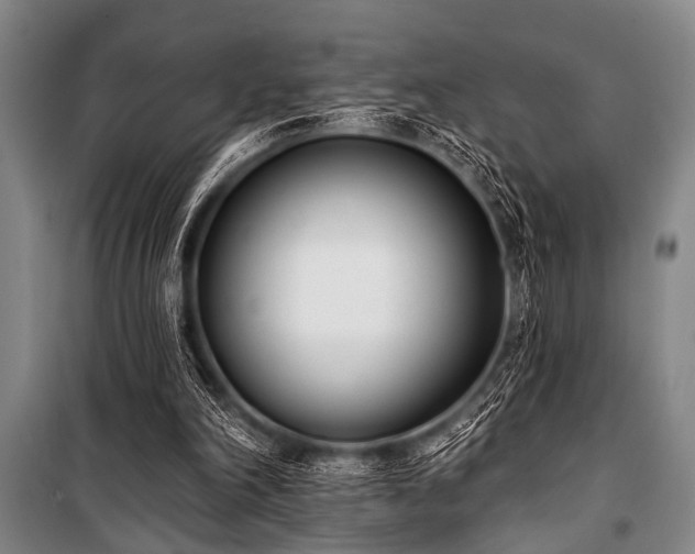 X0000101200198200806271359