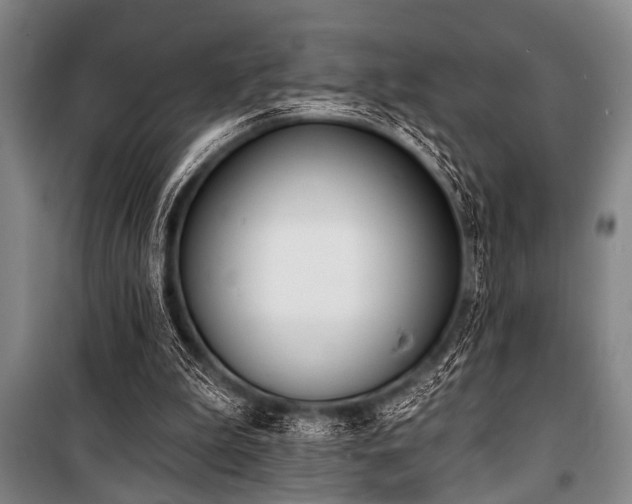 X0000101200199200806271359