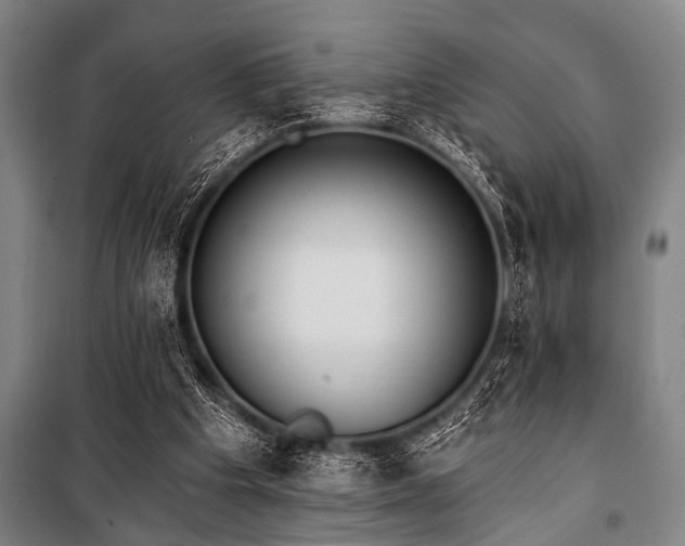 X0000101200201200806271359