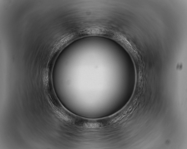 X0000101200202200806271359