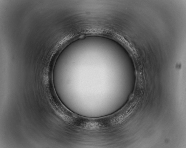 X0000101200203200806271359
