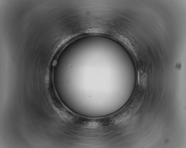 X0000101200204200806271359