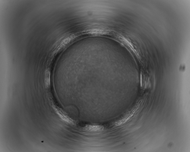 X0000101200205200806271359