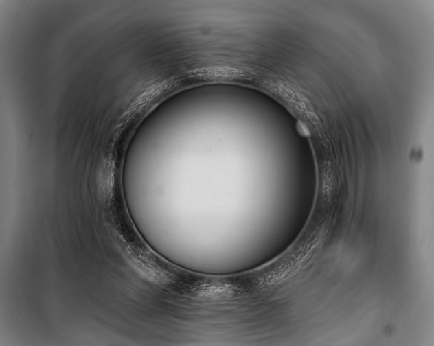 X0000101200206200806271359
