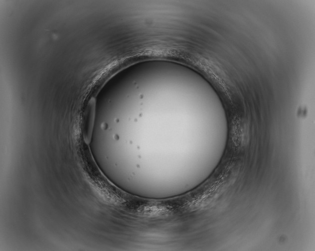 X0000101200208200806271359