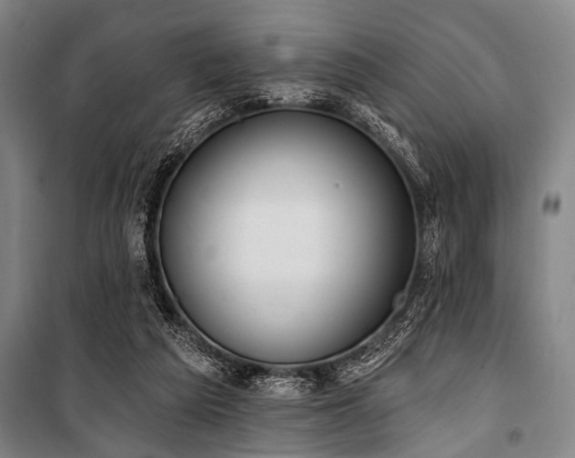 X0000101200209200806271358