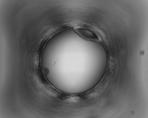 X0000101200210200806271358