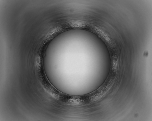 X0000101200211200806271358