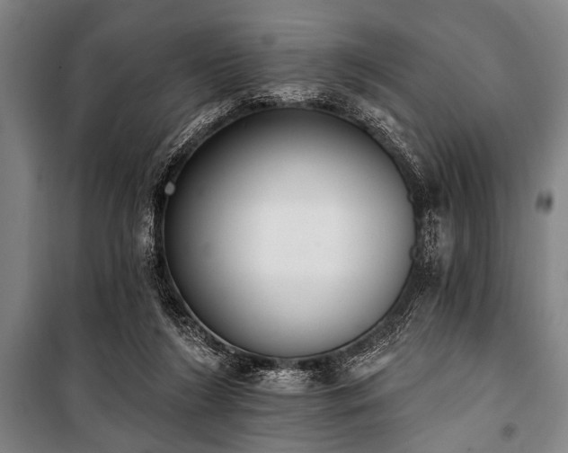 X0000101200212200806271358