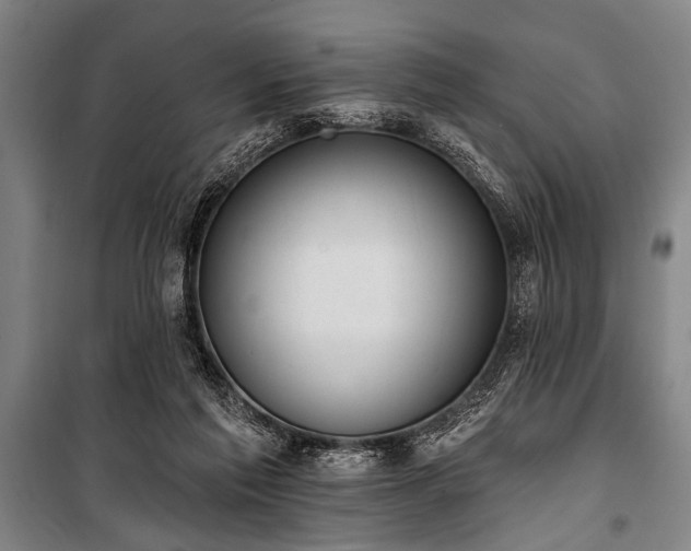 X0000101200213200806271358