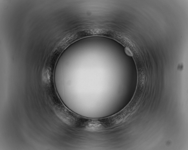 X0000101200214200806271358