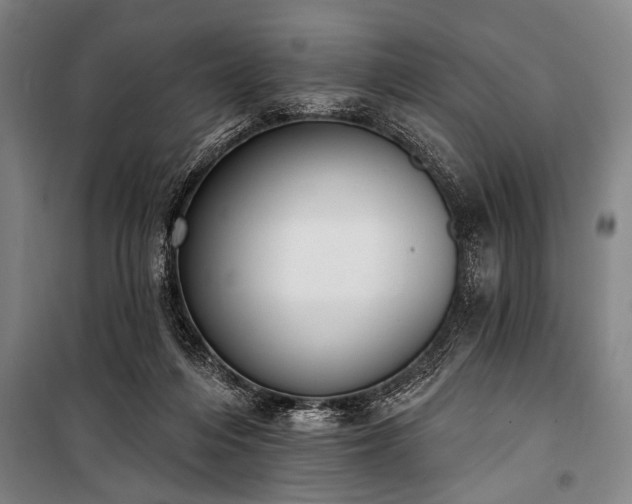 X0000101200216200806271358